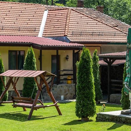 הוילה Văliug Casa Alex מראה חיצוני תמונה