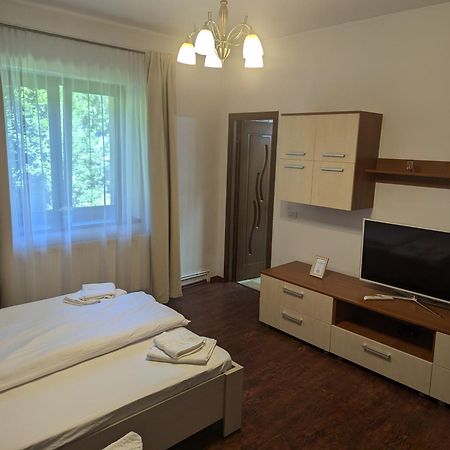 הוילה Văliug Casa Alex מראה חיצוני תמונה