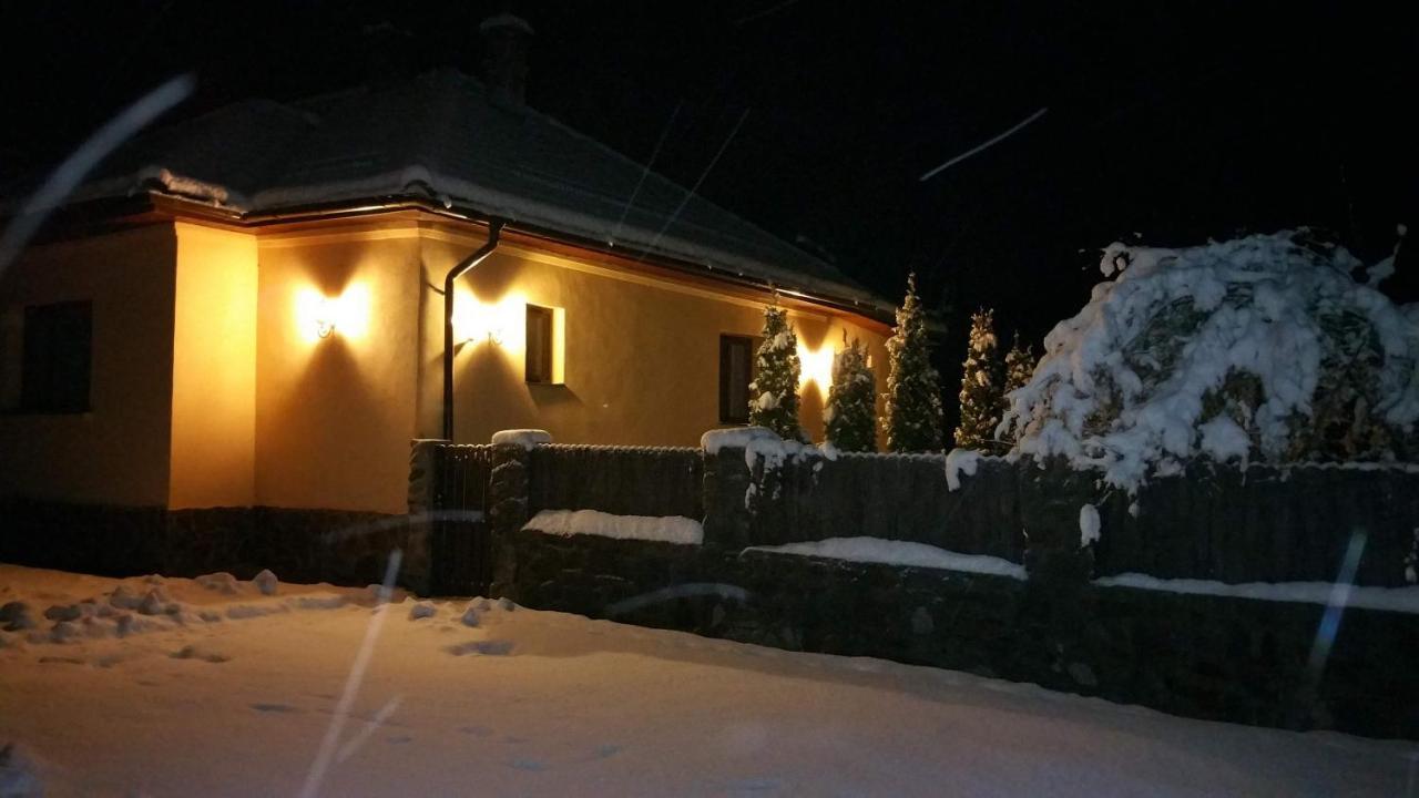 הוילה Văliug Casa Alex מראה חיצוני תמונה