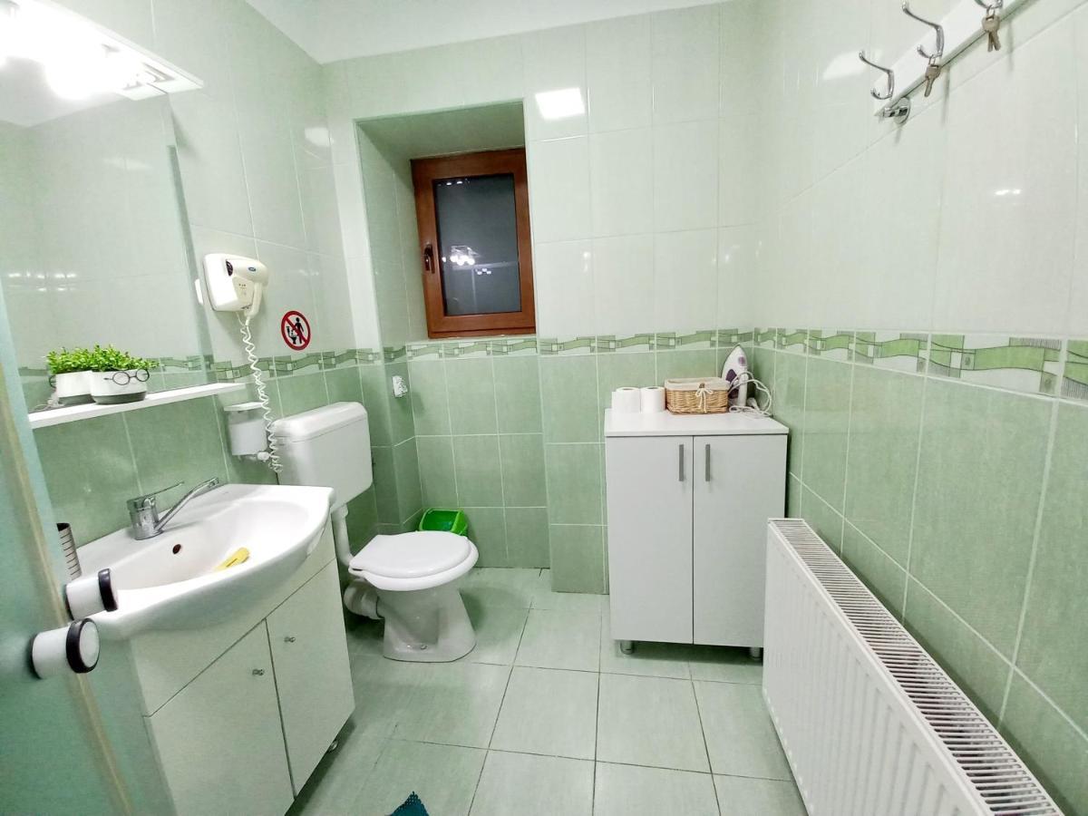 הוילה Văliug Casa Alex מראה חיצוני תמונה