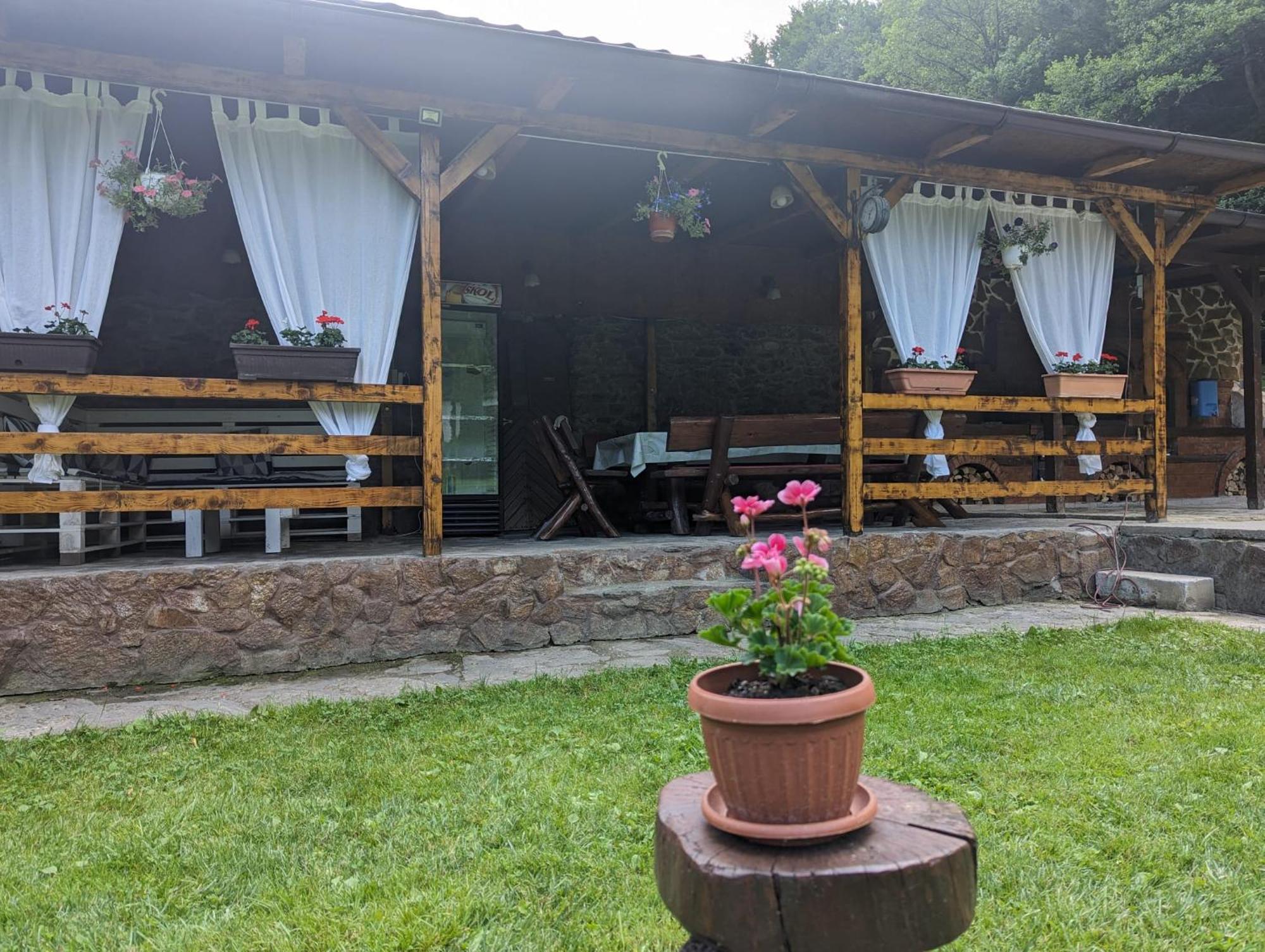 הוילה Văliug Casa Alex מראה חיצוני תמונה